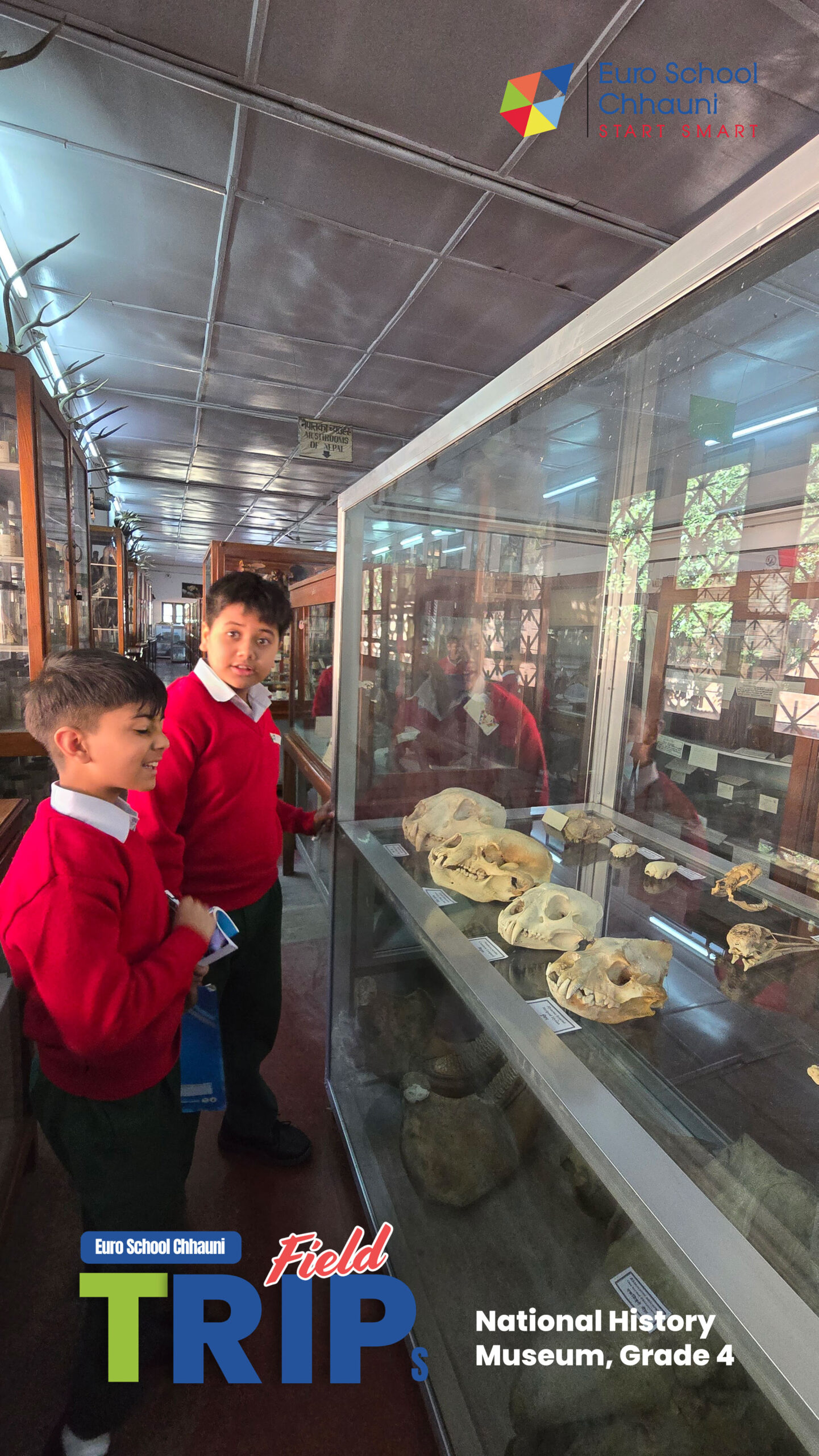 Field Trip to National History Museum, Grade 4